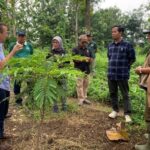 Tinjau Proyek Mewlafor, Tim UNIDO Kunjungi PPLH Seloliman dan SDN Pandan