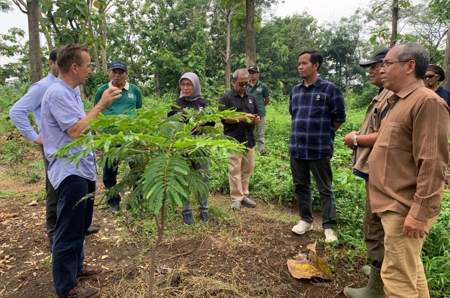 Tinjau Proyek Mewlafor, Tim UNIDO Kunjungi PPLH Seloliman dan SDN Pandan