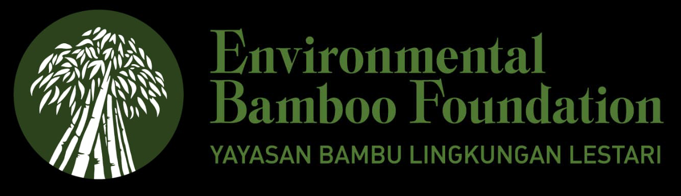Bamboo