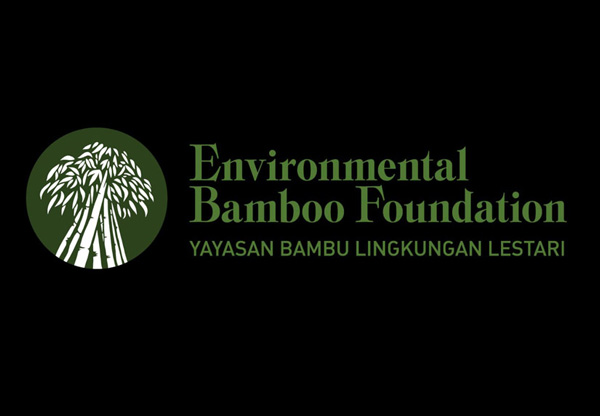 Bamboo